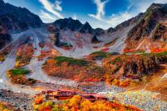 autumn