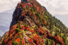 20111010-ishizuchiyama-PA082744