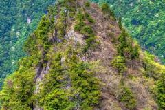 20090523-odaigahara-P5232990